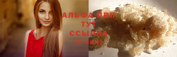 молекула духа Алексин