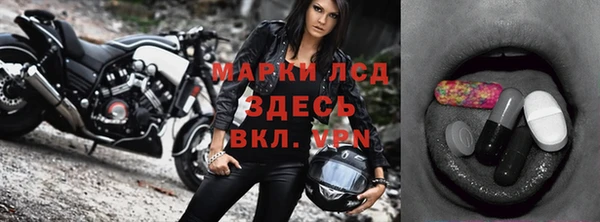 хмурый Абаза